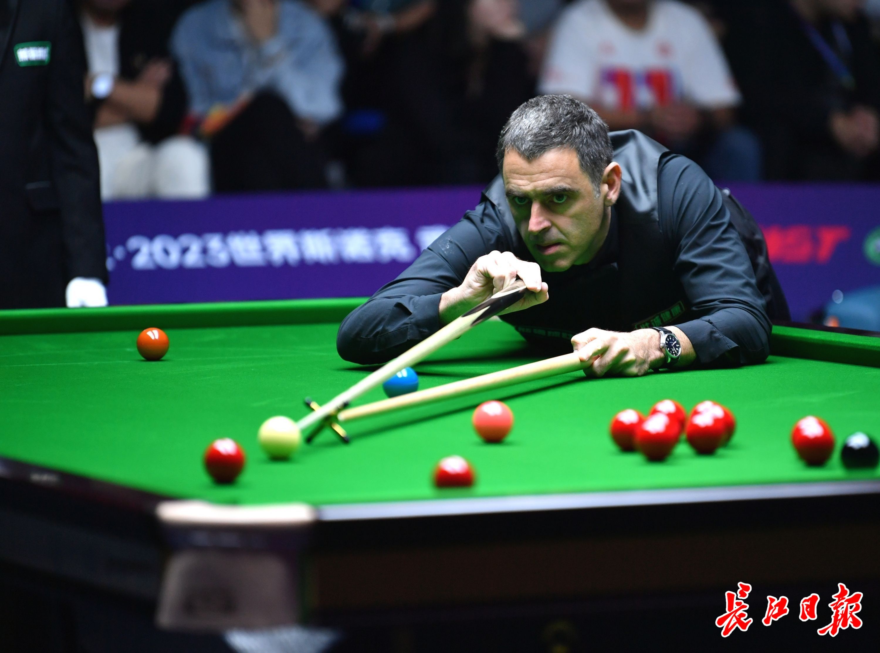 球队的后场 球队的后场