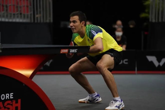 新秀都能保 新秀都能保