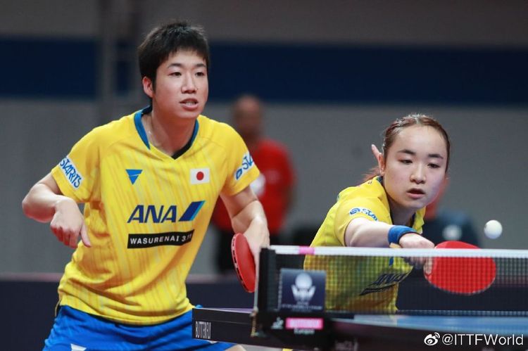 差异显而易 差异显而易